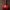 Martelo de Thor REDSOX