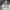 Assassino dell'Universo 6 – Hit di Dragon Ball
