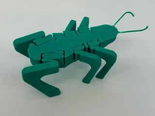 Jumping Grasshopper