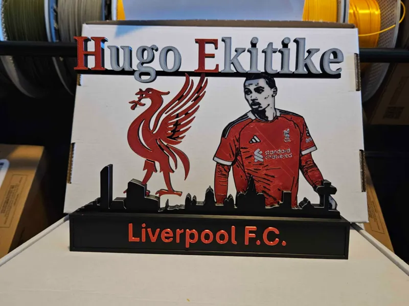 Premier league - Liverpool FC Hugo Ekitike display