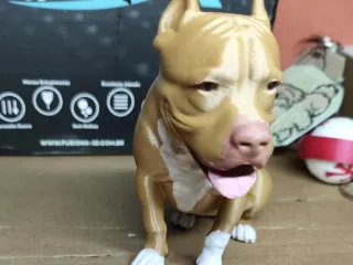 Pit bull sentado