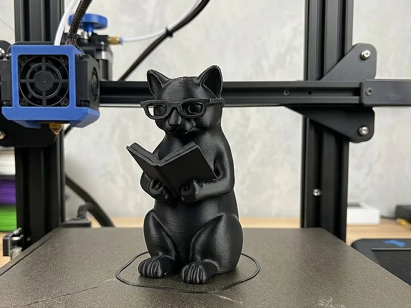 Reading Cat
