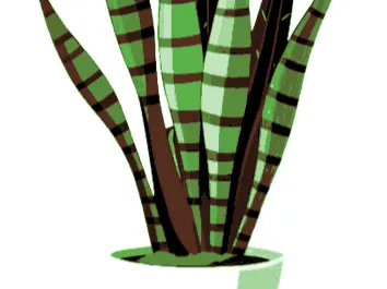 Snake Plant painting