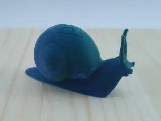 Snail