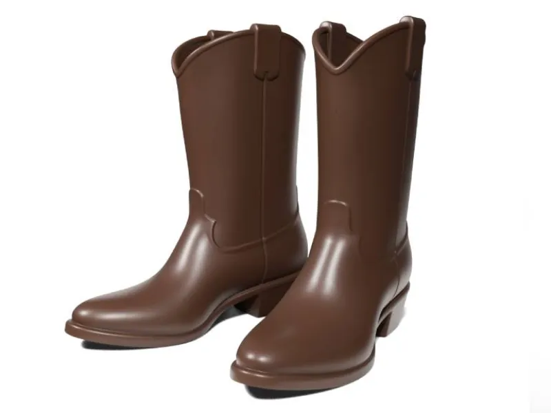 Cowboy boots