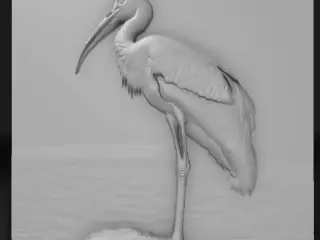 stork