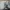 Yoda Star Wars 3D-Fotodruck S/W