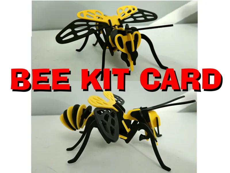 Kit Carduri Albine 20cm