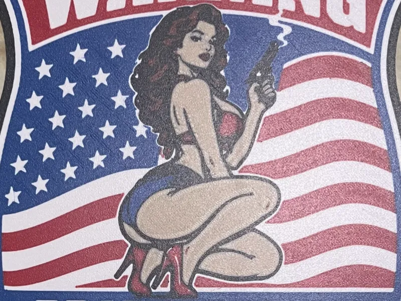 Protected by 2nd Amendment Security Shield Novelty Signs