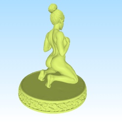 Bundle 10 + 1 Anatomic model woman for painting & sculpting
