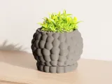 Planter with dripping tray-0