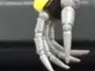 fingers