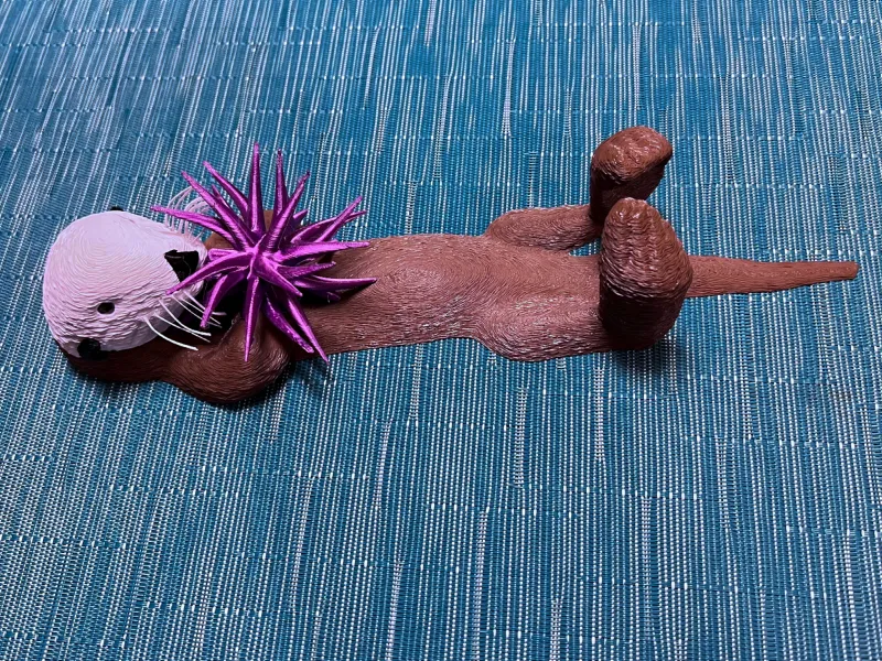 Sea Otter Above and Below Water - EXPERIMENTAL