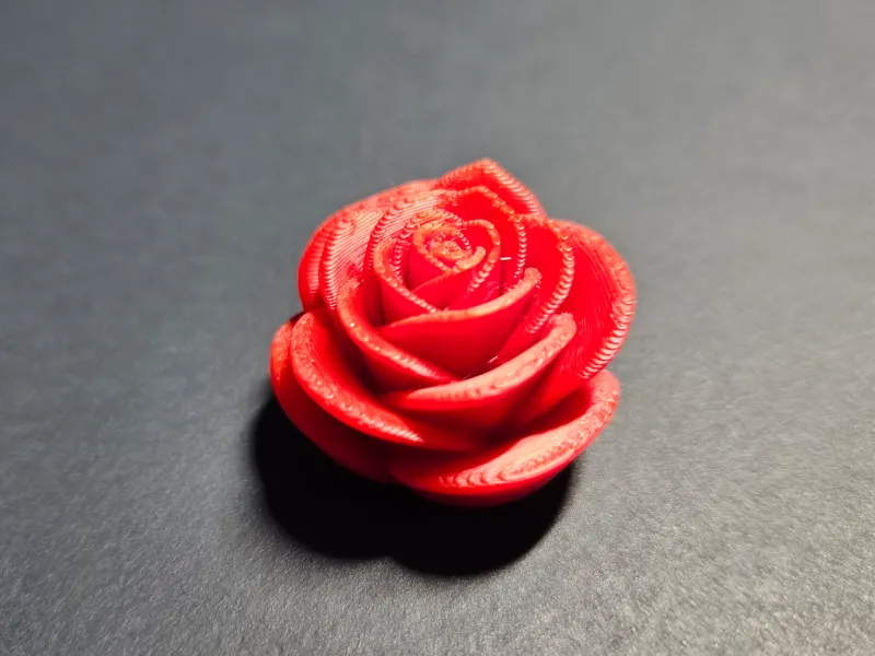 Moderne Minimalistische Rosenblüte