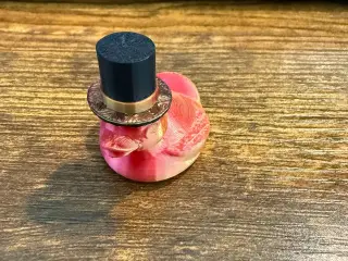 hat duck