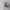 Infernal Puzzle 3d modal