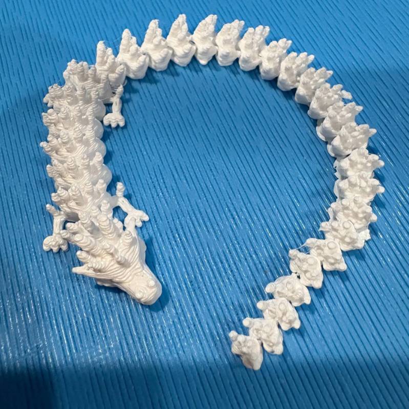 Home print settings: articulated dragon.3mf