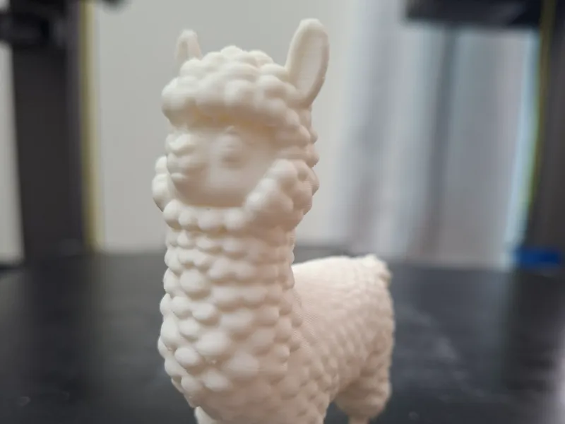 Adorabile lama