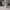 British Shorthair Statue