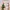 Articulated Xmas Decor - Santa Hat Tree Reindeer Snowman