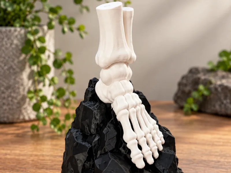Pé Esquelético sobre Rocha – Exibição Anatômica Impressa em 3D