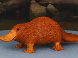 Platypus
