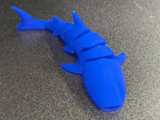 Articulating Shark
