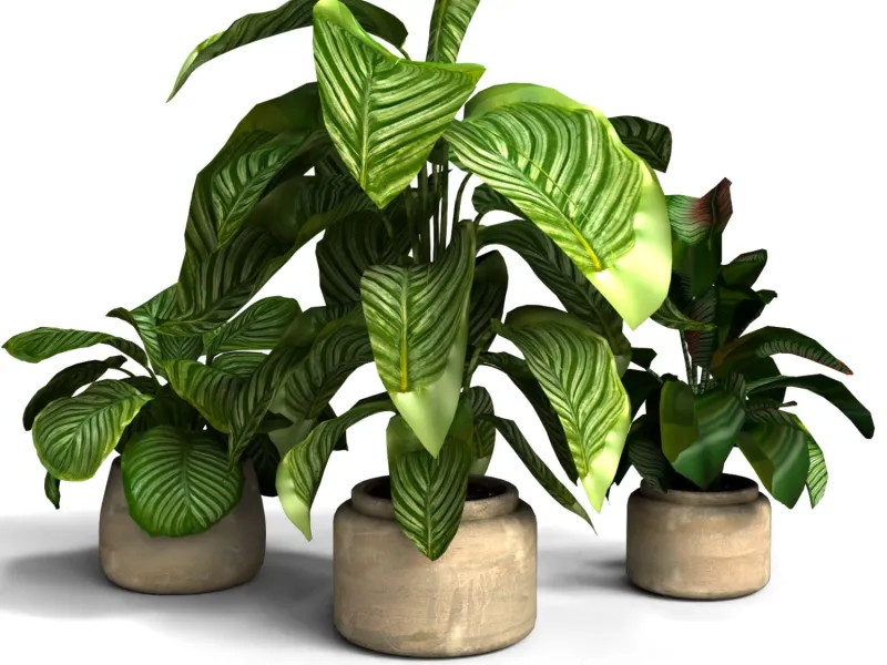 Decorative Flower Vase with Flowers 3D Model High Detail Rea