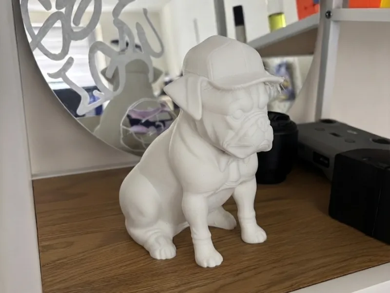 🐶 戴着酷炫帽子的斗牛犬！