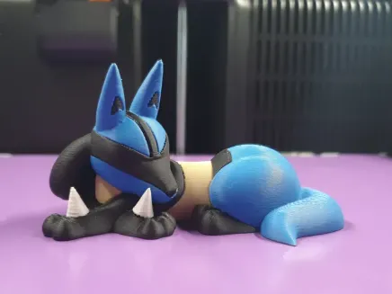 眠るルカリオ
