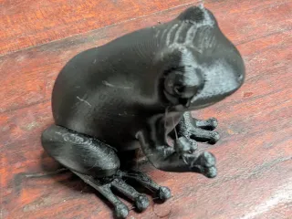 Poison Dart Frog