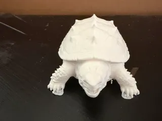 Snapping Turtle