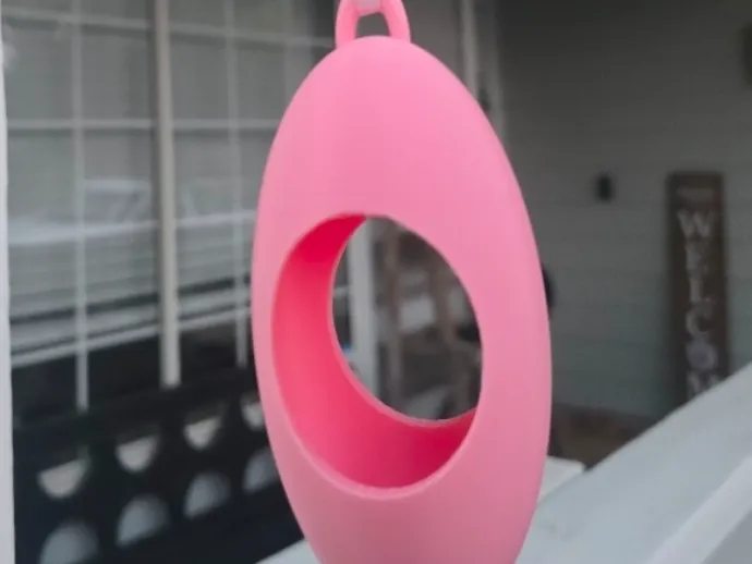 Air plant hanger