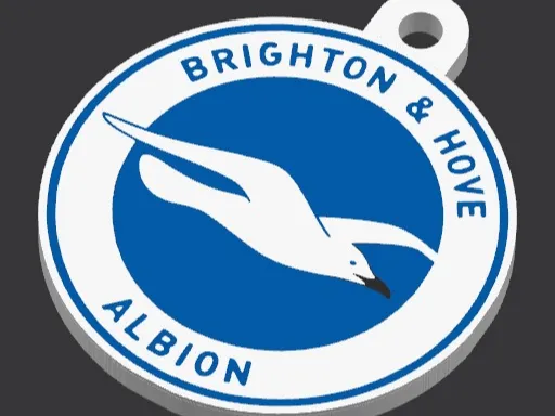 Llavero Brighton & hive Albion