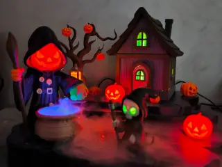 🎃✨ Pumpkin Spell ✨🎃