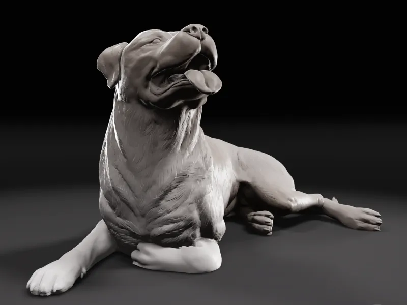 Rottweiler