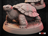 Giant Tortoise-0