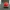 Voltorb Pokémon İlhamlı Pokétopu Yaratığı AMS Yok