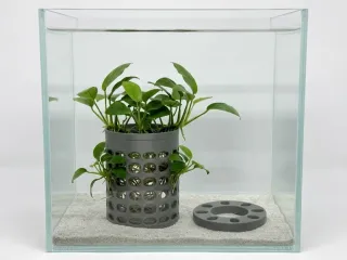 水草定植篮