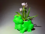 Frog flower pot-0