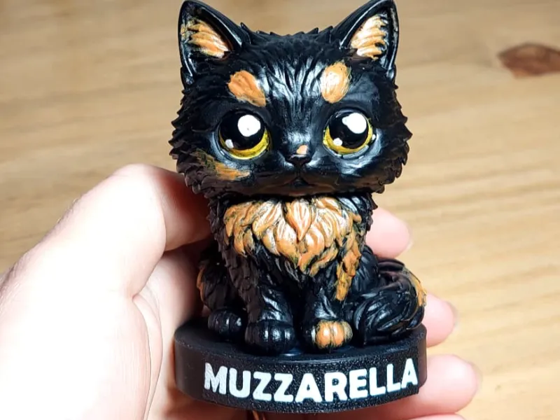 Figura Funko de Gato Tartaruga