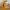 CosmeticOrganizer_V1