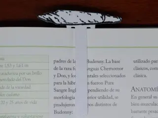 Joint Bookmark
