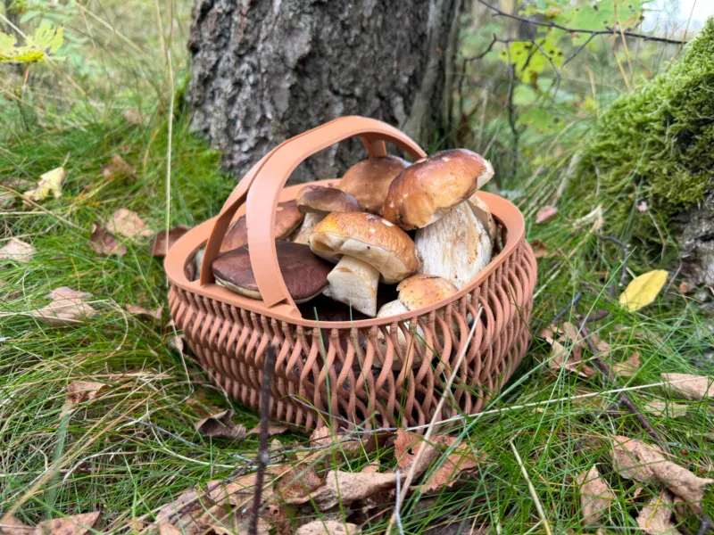 Holiday Basket