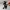 Silhouette Hexe Besen