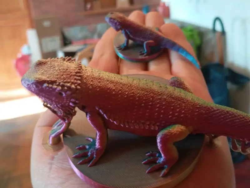 フトアゴヒゲトカゲ