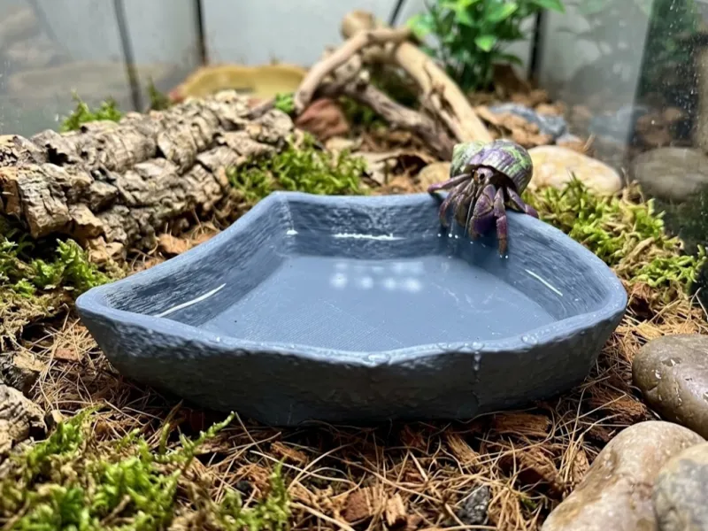 HermitCrab_WaterBowl