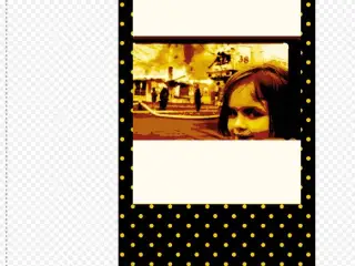 Disaster girl meme photo