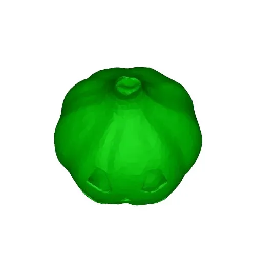 Carved Pumpkin