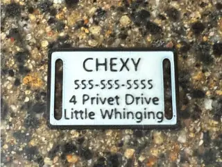 Pet Name Tag